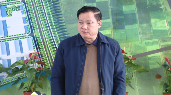 Đẩy nhanh tiến độ đầu tư xây dựng và thu hút đầu tư vào KCN Hải Long