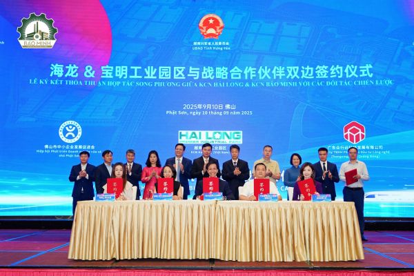 Album: Nhà Đầu Tư FDI